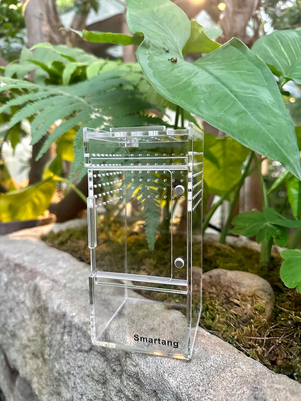 Jumping Spider Enclosure,Arboreal Tarantula Enclosure,Spider Habitat,Praying Mantis Habitat,Frog Enclosure,Insect Terrarium Bug Enclosure,Acrylic Terrarium