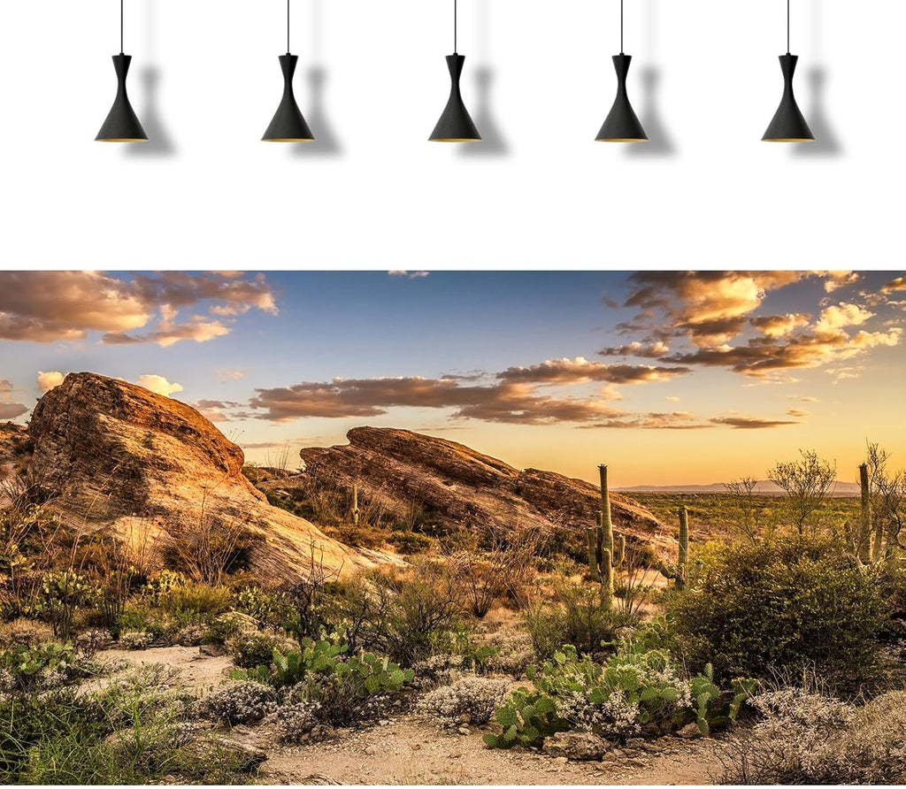 2 Packs Desert Mountain Reptile Tank Background Sunset Desert Gobi Cacti Sand Dunes Aquarium Background Saguaro Sandstone Rock Mountain Range Scenery Aquarium Reptile Enclosure Backgrounds 72x16in