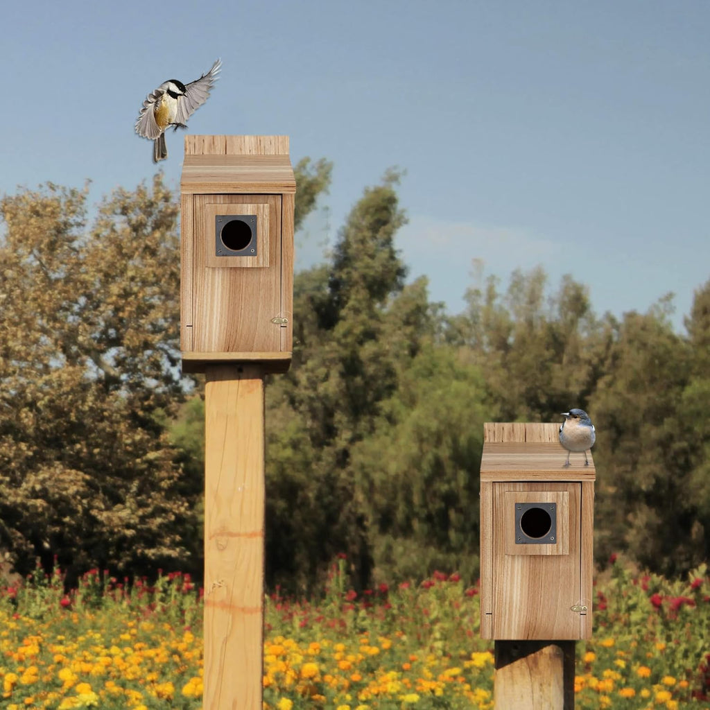 CARTMAN 0.6 Inch Thick Wood Bird Houses with Stainless Steel Guard, Hummingbird House for Outside Clearance Garden Country Cottages