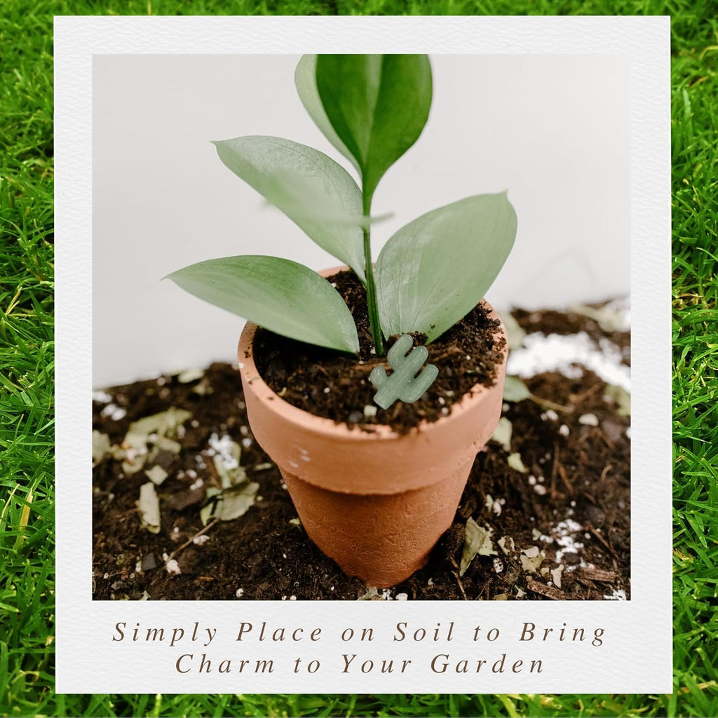 Mini Moss Agate Cactus–Unique Funny Plant Lover Birthday Gifts for Women/Sister/Mom,Gardening Gardener Succulent Lovers Crazy Plants Lady Cute Stocking Stuffers Gift Ideas