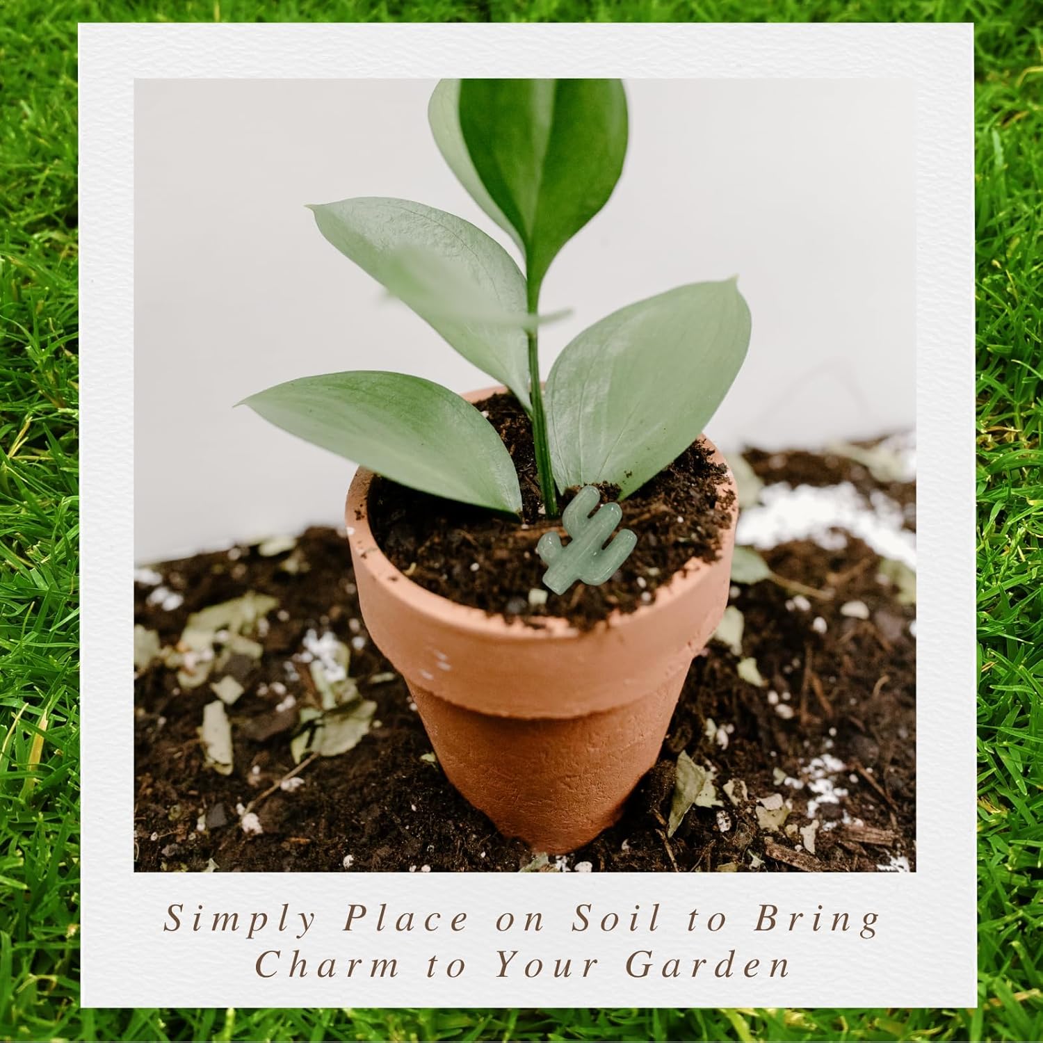Mini Moss Agate Cactus–Unique Funny Plant Lover Birthday Gifts for Women/Sister/Mom,Gardening Gardener Succulent Lovers Crazy Plants Lady Cute Stocking Stuffers Gift Ideas