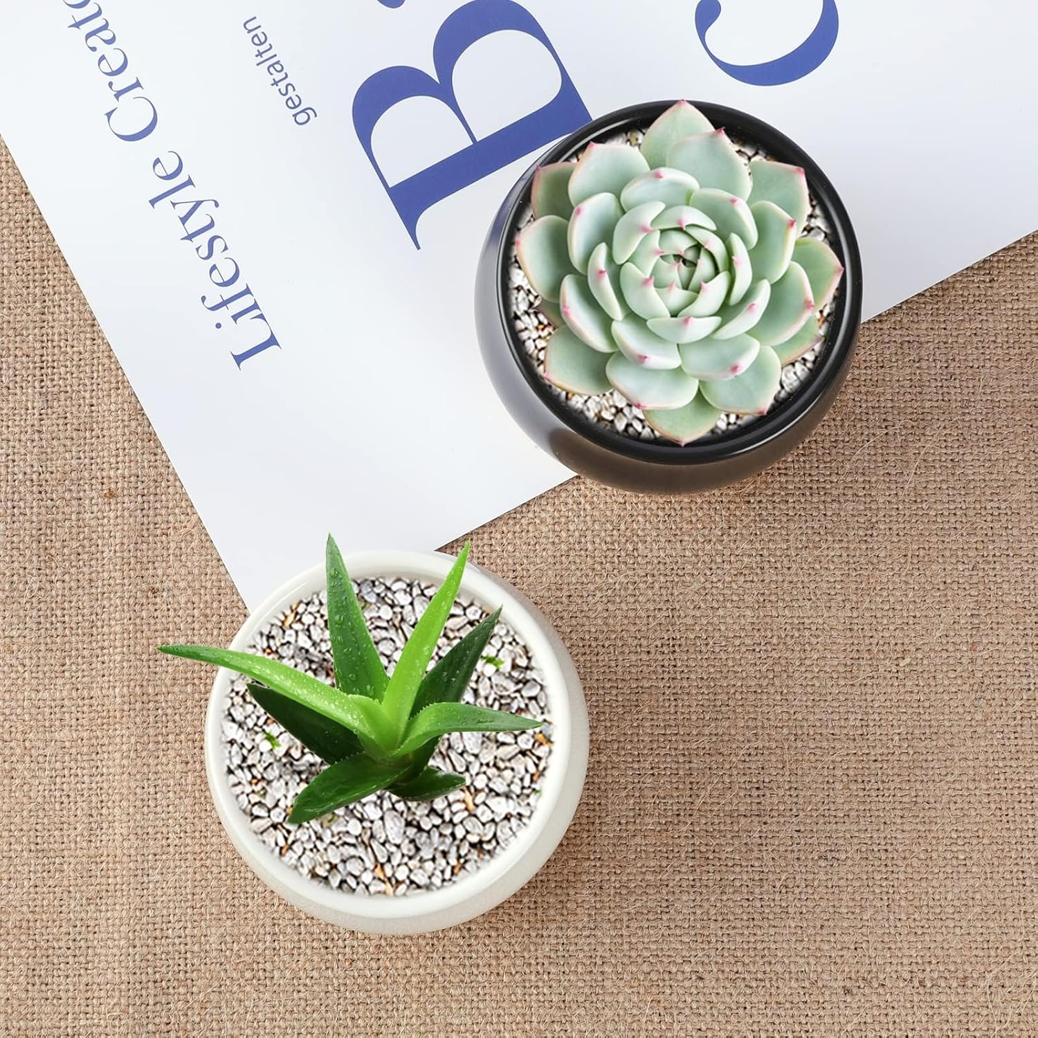 2 Pack Succulent Pots, 2.5 Inch Mini Ceramic Pots for Flower or Cactus Plants with Drainage Hole,Plants Not Included (White)