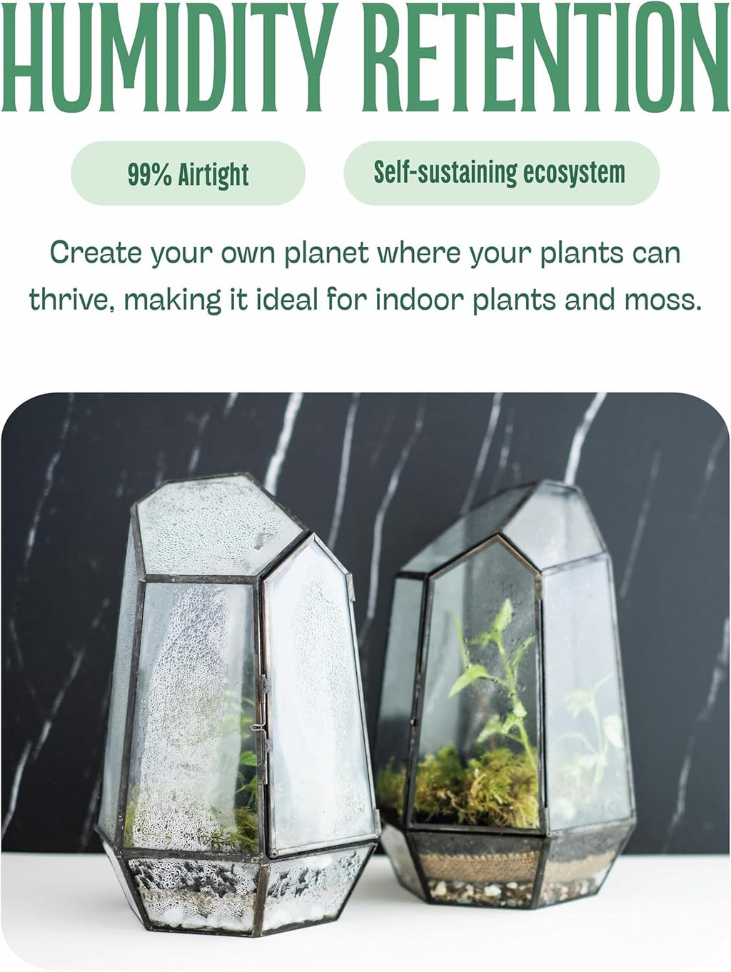 KraftStories Clear Glass Terrarium with Door | Geometric Design Container | Ideal Planter for Moss and Indoor Plants | Maintains Humidity | Self-Sustaining Indoor Garden Ecosystem (Only Terrarium)