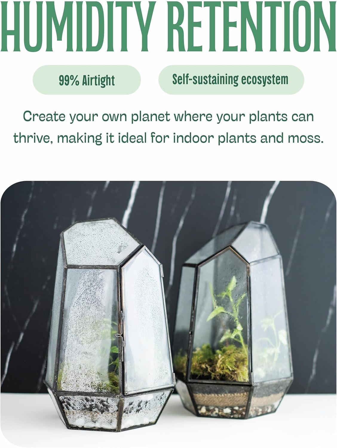 KraftStories Clear Glass Terrarium with Door | Geometric Design Container | Ideal Planter for Moss and Indoor Plants | Maintains Humidity | Self-Sustaining Indoor Garden Ecosystem (Only Terrarium)