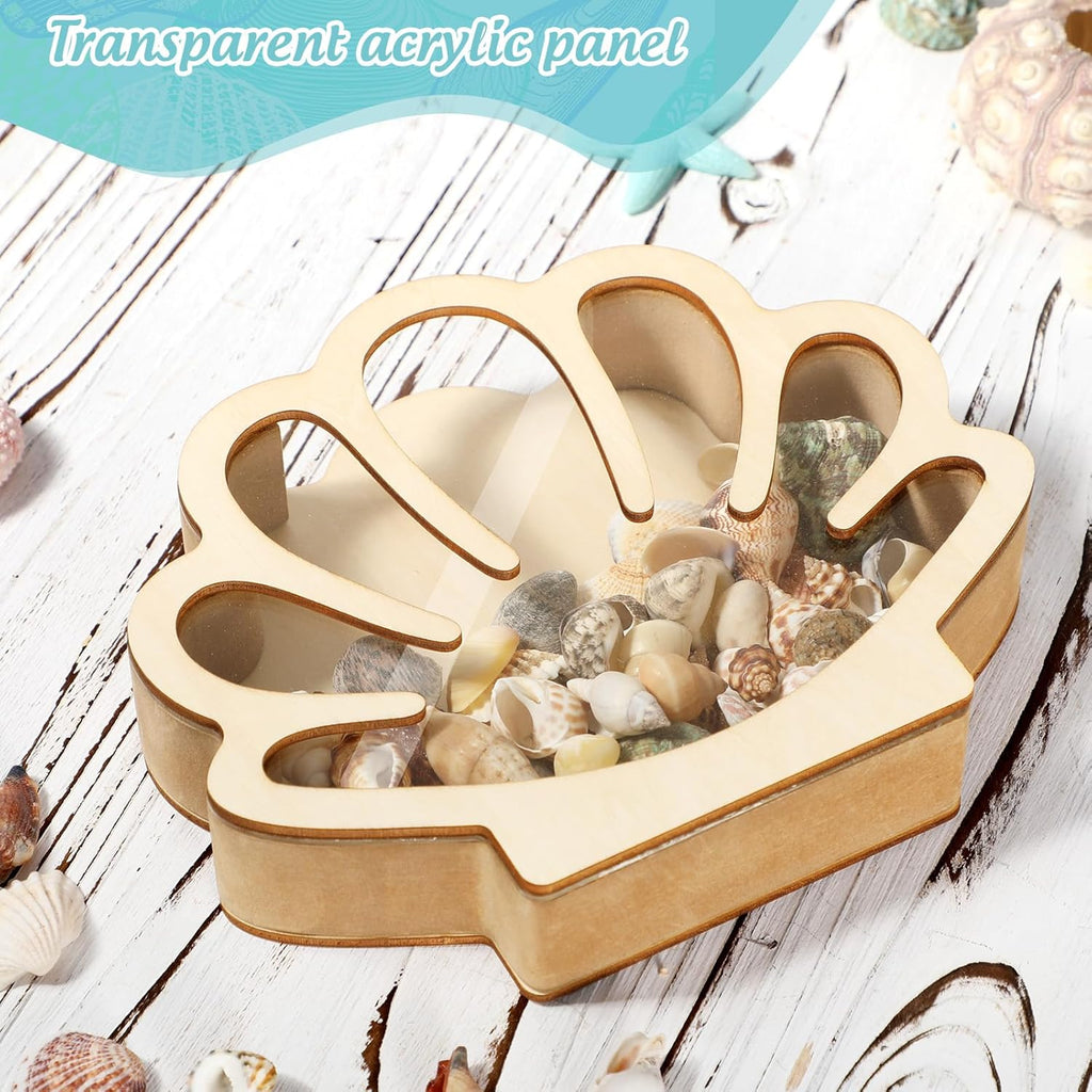 Xylolfsty Seashell Display Box Wooden Seashell Holder with Acrylic Panel Storage Box for Shells Sea Glass Small Starfish Shark Tooth Seashell Collection Box Home Decor Christmas Gift Birthday Present