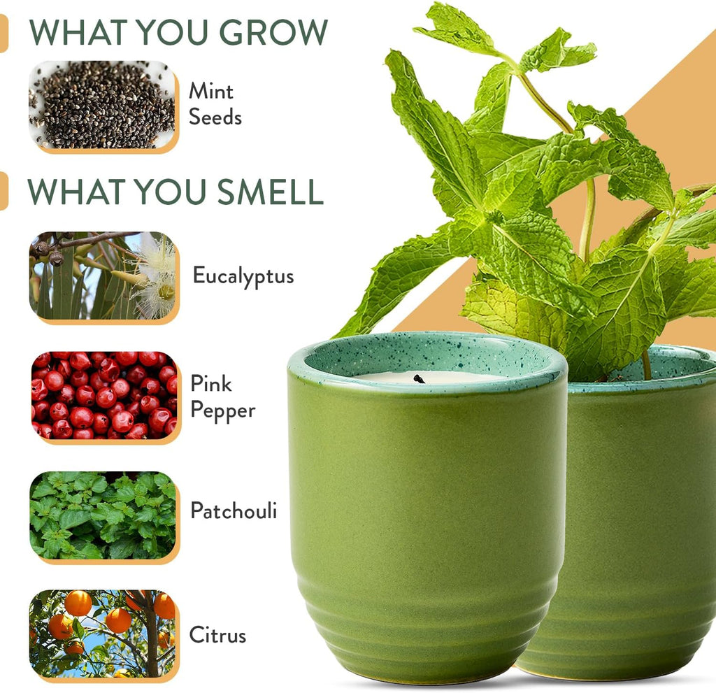 Modern Sprout Garden Vibes 2-in-1 Soy Candle & Planter - in The Weeds (Eucalyptus, Pink Pepper, Patchouli, Citrus) 6 Oz Scented Candle w/Mint Seeds - Ceramic Vessel Dual Purpose Jar - 38-40 Hour Burn