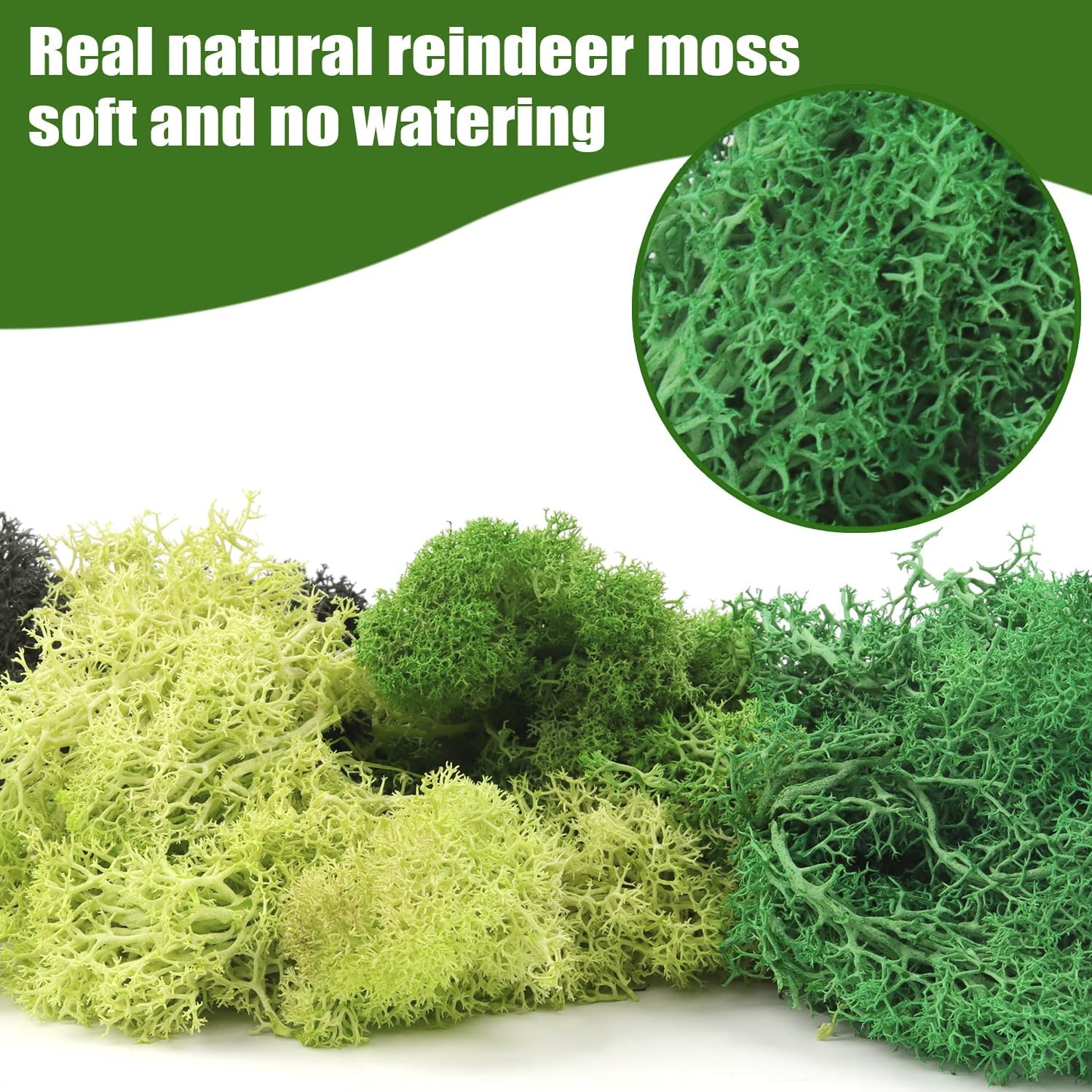 Preserved Moss Natural Dried Reindeer Moss, 1.76 lb Multicolored Moss for Crafts Floral Moss for DIY Arts Wall Home Office Terrariums Wedding Centerpieces Decoration