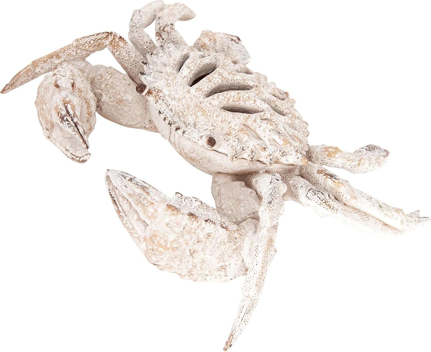 White Coral Crab Statue – Coastal Coral Reef Ocean Decor for Beach House | Polystone Nautical Figurine for Shelf, Tabletop, or Mantel Display (11” x 10”) by Corner Merchant