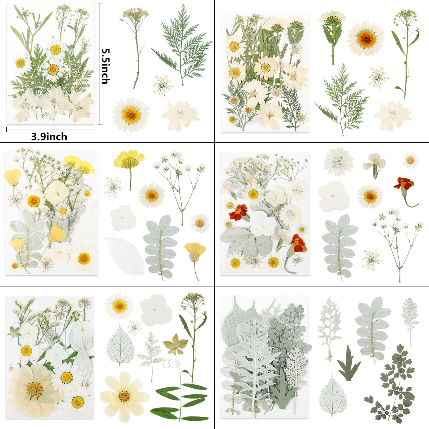 NESCCI 247 Pcs Dried Flowers for Crafts,Real Natural Dried Pressed Flowers in Soft Yellow & White Tones for Resin,Used for Scrapbooking DIY Art Crafts Candle Soap Making Nails Décor