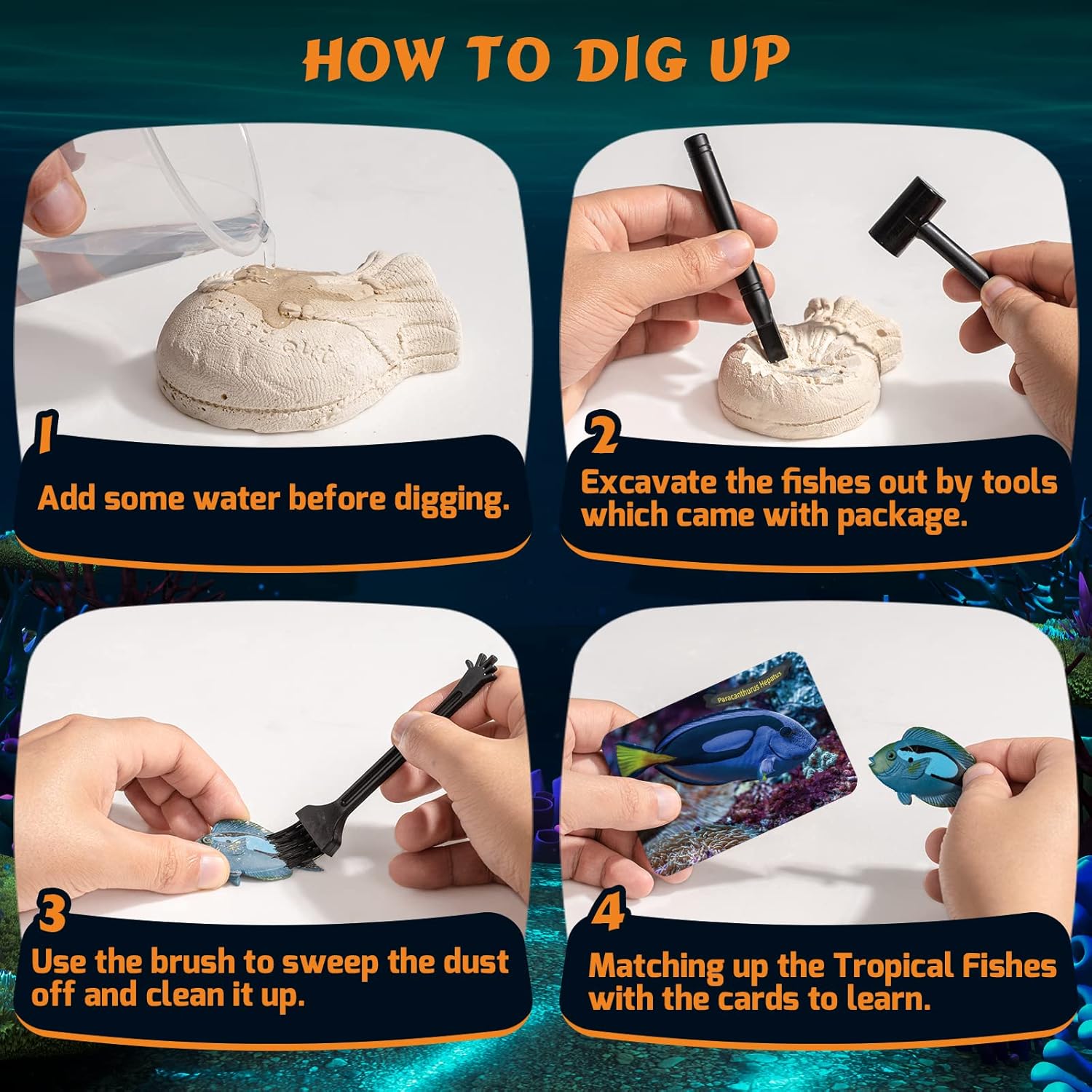 GobiDex Ocean Life Fish Dig Kit, Excavate 12 Simulated Marine Fish Science Kits for Kids Age 6-8-12, STEM Learning & Education Toys, Party Favors Gift for Kids Boys & Girls Age 6+ Year Old