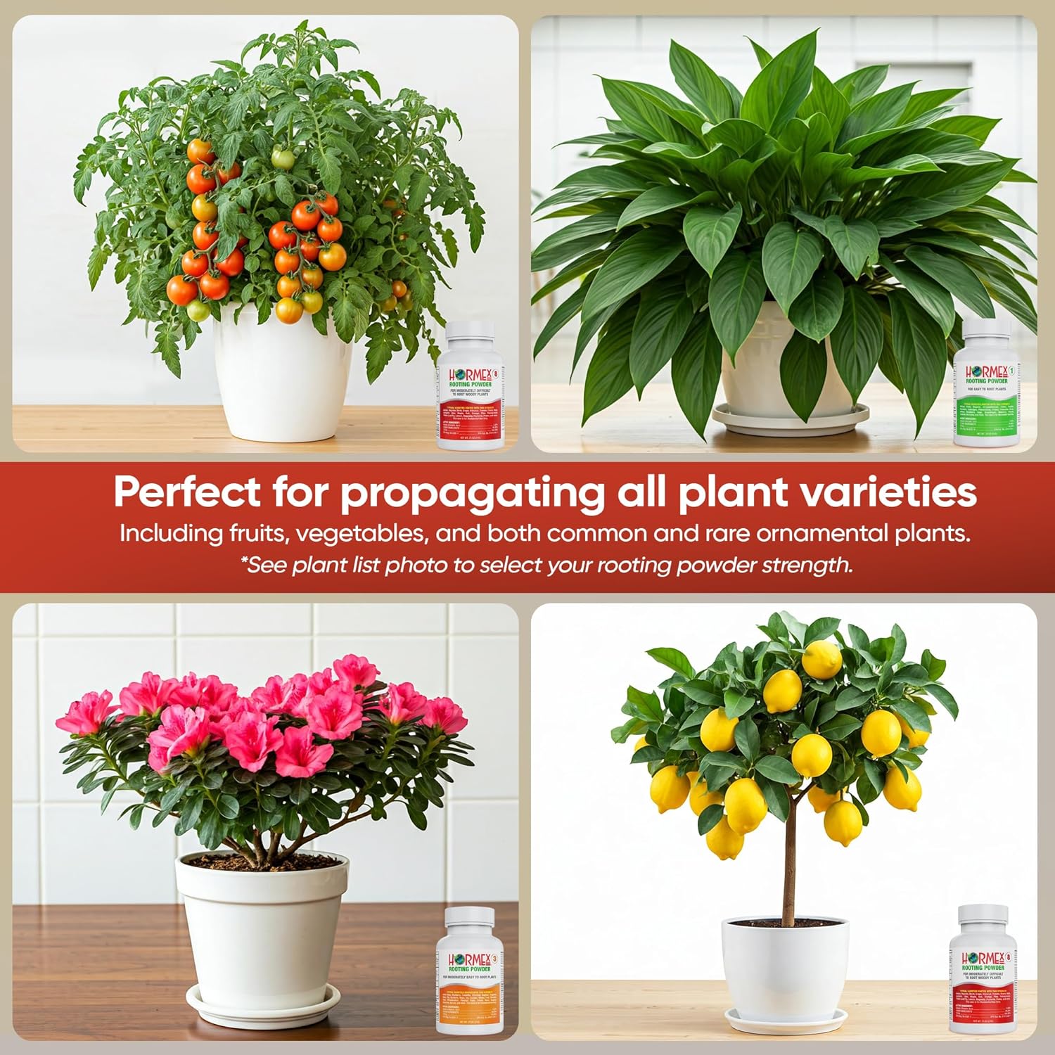 Hormex Rooting Powder Combo #1, 3, 8 (0.10-0.8 IBA) - Root Growth Hormone for Delicate and Common Houseplants to Semi-Hardwood, Medicinal Plants and Tree Cuttings - Root Stimulator for Plant Cloning