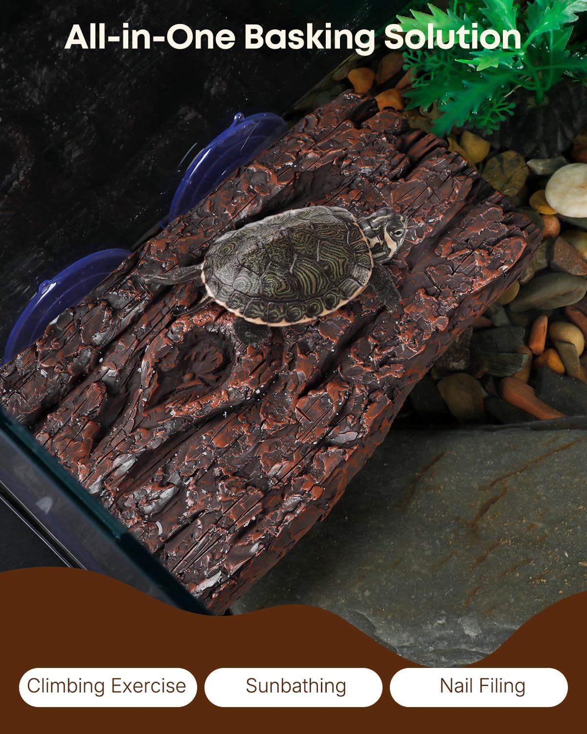 Pawfly Turtle Basking Platform — Resin Dock with 3 Suction Cups for Aquatic Turtles, Frogs, Turtle Tank Accessory