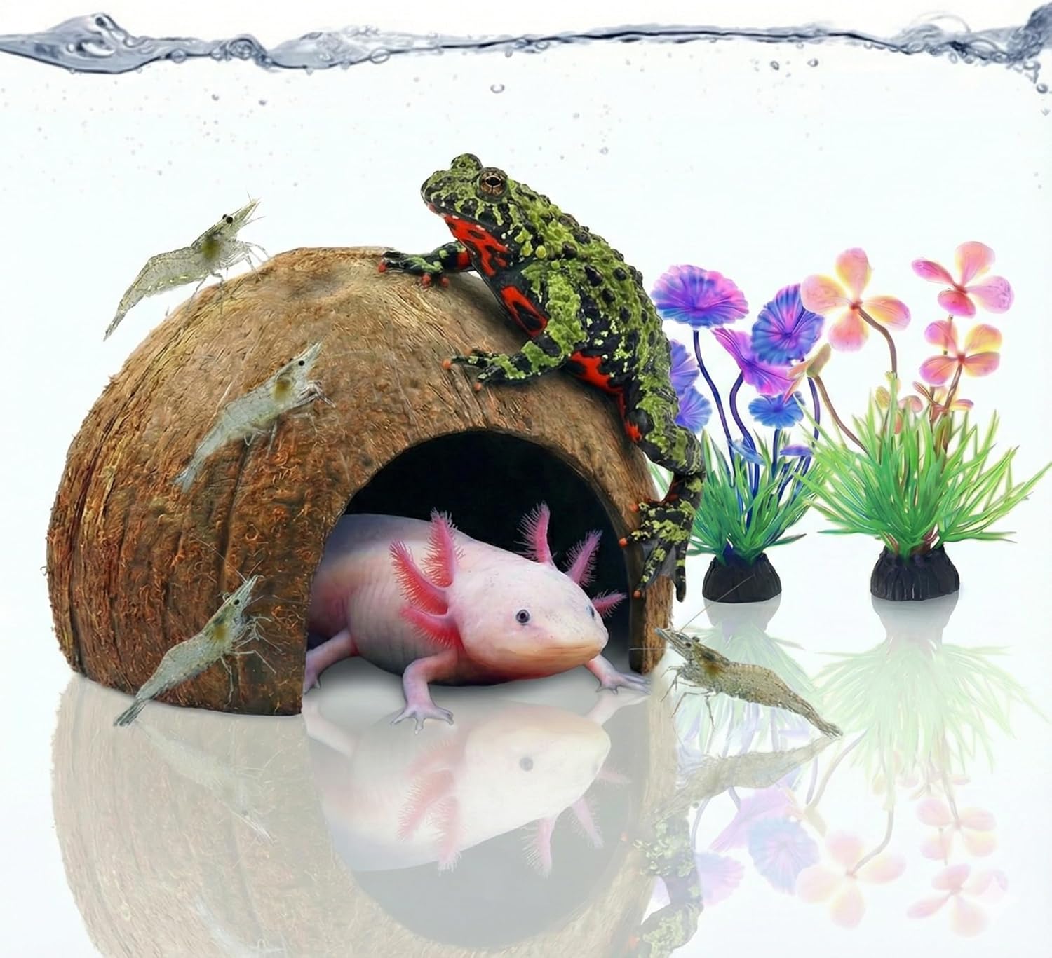 Natural Coconut Shell Hideout Cave, 5" Aquarium Fish & Reptile Hide Cave, Leopard Gecko Tank Accessories, Crested Geckos, Hermit Crabs, Spider, Snails & Small Lizards Climbing Toy & Decor