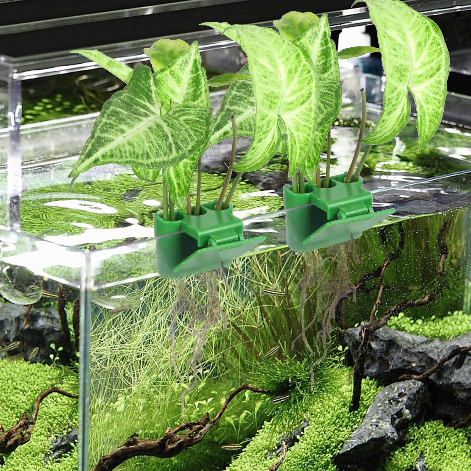 3 Holes Upgraded Aquatic Plant Cup Aquarium Plant Holder for Tank,Aquascape Accessories Decorations- Green 2 Pcs