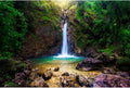 Waterfall Aquarium Background Deep Forest Natural Landscape Terrarium Background Falls Green Jungle Plants Huge Rocks Fish Tank Background Waterfall Rock Reptile Habitat Background Vinyl 60x24in