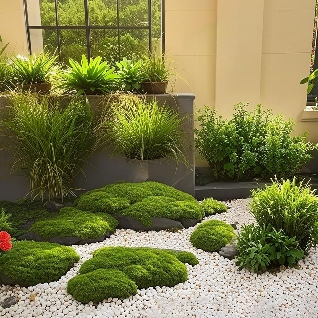 Fake Green Moss for Decorating, 100g/3.5oz Artificial Moss for Aquarium Model Crafts Table Centerpieces Decor (Green, 100g/3.5oz)