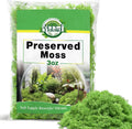Halatool Preserved Reindeer Moss for Crafts, Green Moss for Terrariums, Fairy Gardens, DIY Crafts, Home Decor - Ideal for Wedding, Christmas, and Party Decor