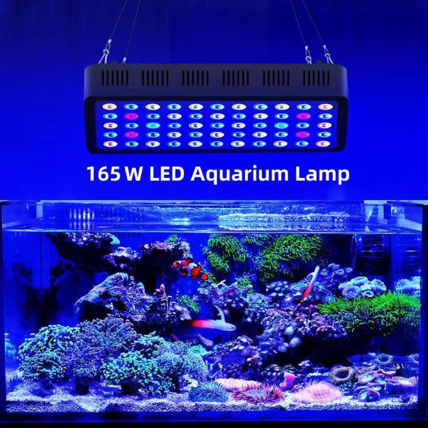 165w Full Spectrum Aquarium Light Reef/Fish Tank Light with 3 Dimming Modes 55 Premium SMD Chips 5 Colors LED Reef Light for Coral Saltwater Freshwater Fish (16"X8"X2.4")