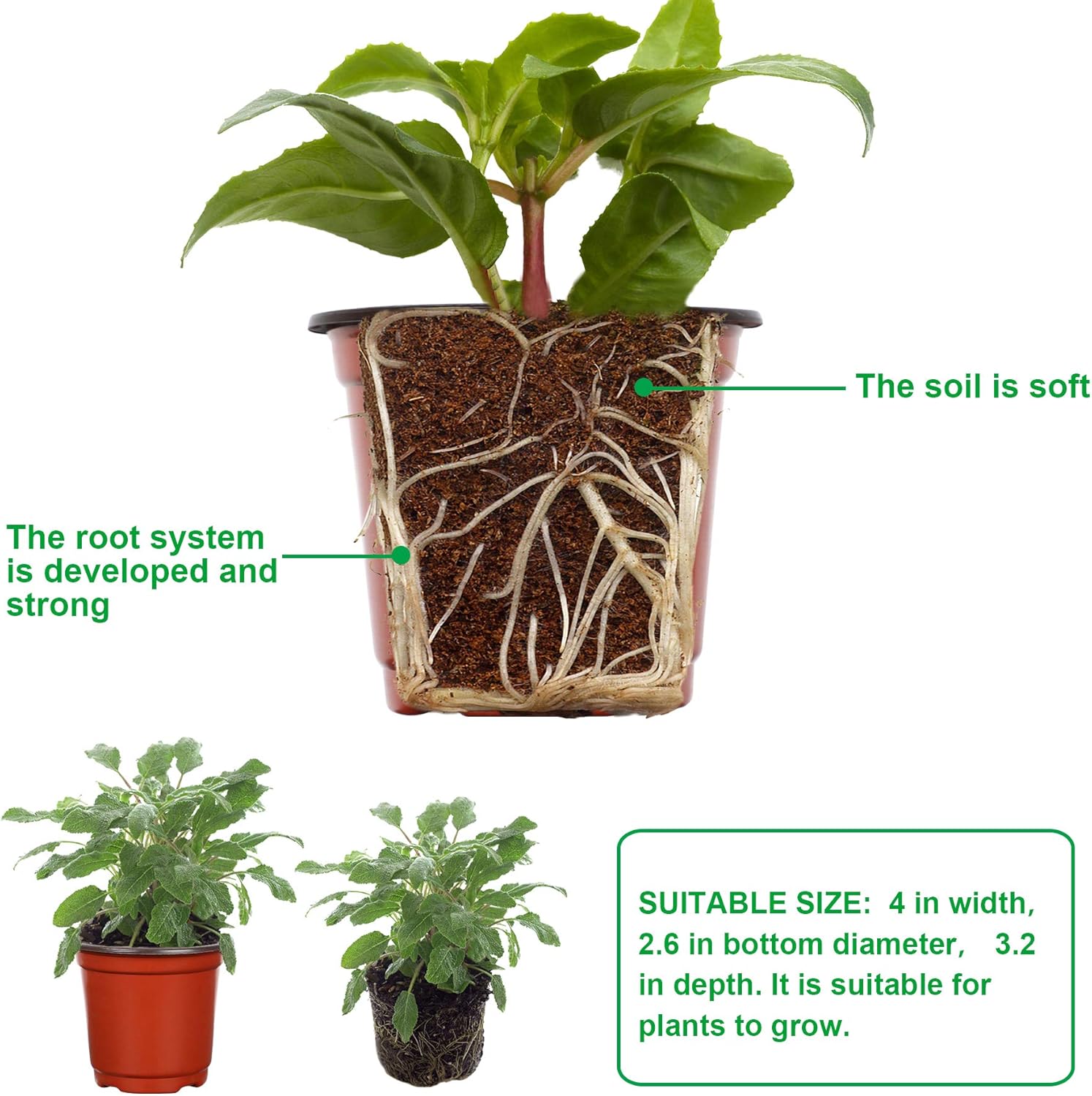 Augshy Nursery Pot, 110 Pcs 4" Plastic Plants Pot,Seed Starting Pots, Indoor Outdoor Seeding pots