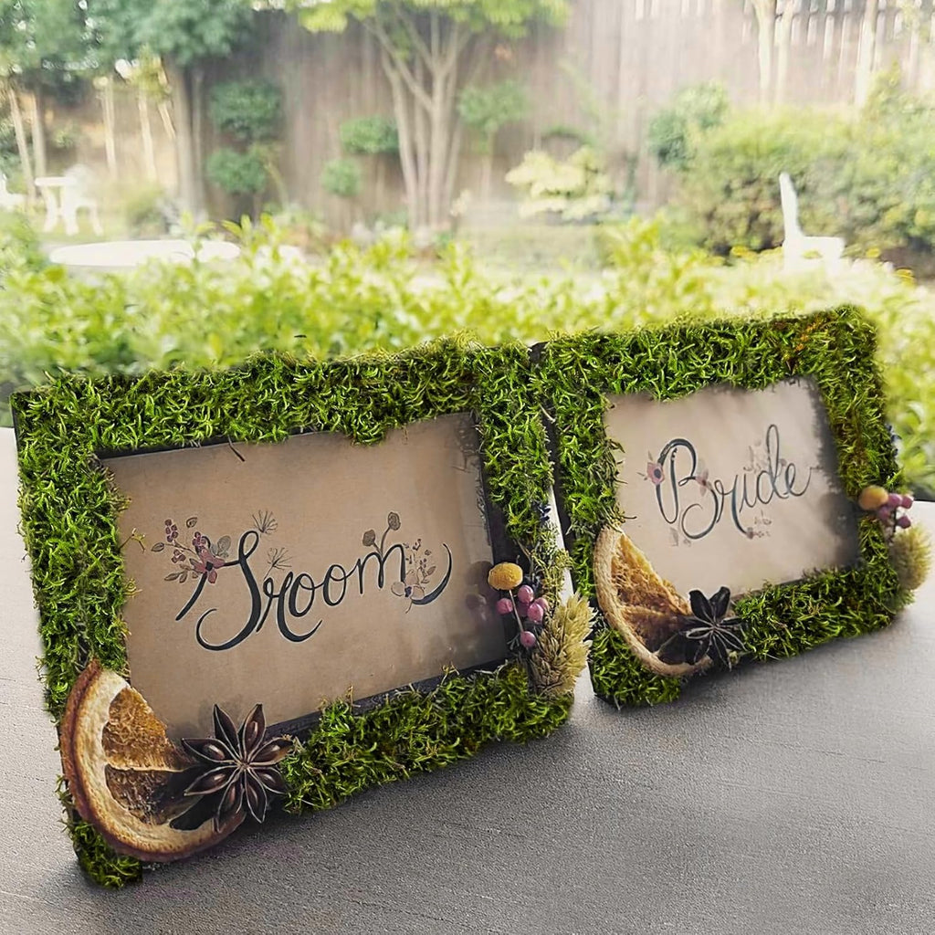 Preserved Moss for Crafts Potted Plants 2 sq.ft. Dried Natural Preserved Moss Mat Green Moss for Planters Crafts Woodland Decor Garden Party Decorations Wall Art DIY Project Green