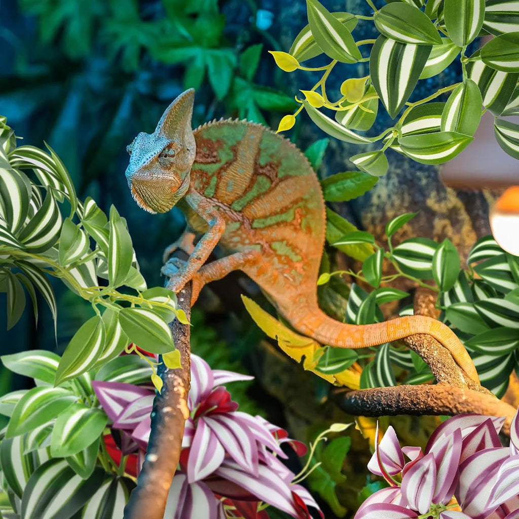 2 Pack Reptile Plants, Artificial Hanging Plants with Suction Cups, Habitat Decor Plastic Vines Decorations for Bearded Dragons Lizards Snake Geckos Frogs -Purple and Green