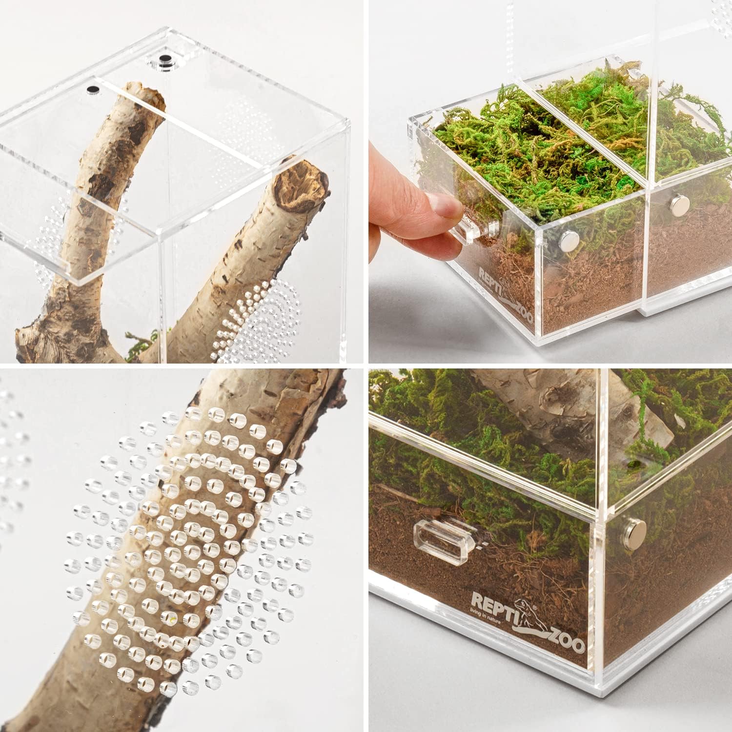 REPTI ZOO Acrylic Reptile Terrarium, Full View Acrylic Jumping Spider Enclosure 4" x 4" x 8", Vertical Feeding Box for Small Reptiles and Invertebrates, Mantis, Spider, Cricket, Tarantula