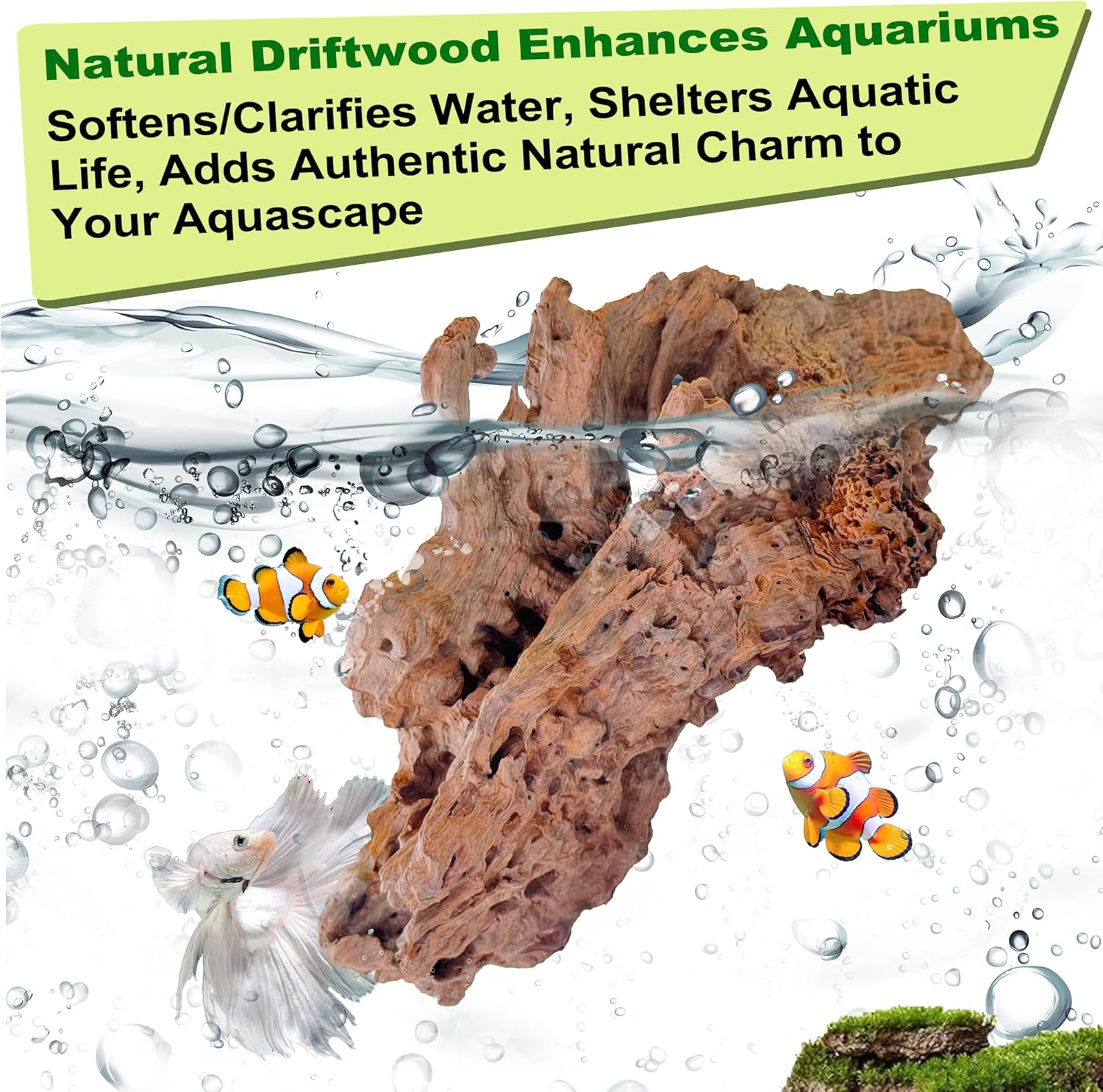 Natural Driftwood for Aquarium Decor,Reptile Habitat&Home DIY Decor,Naturally Unique Shapes Weathered Wood,Easy to Use (M-(10-12 Inch/1.9-2.2 Lbs)-Pack of 2)