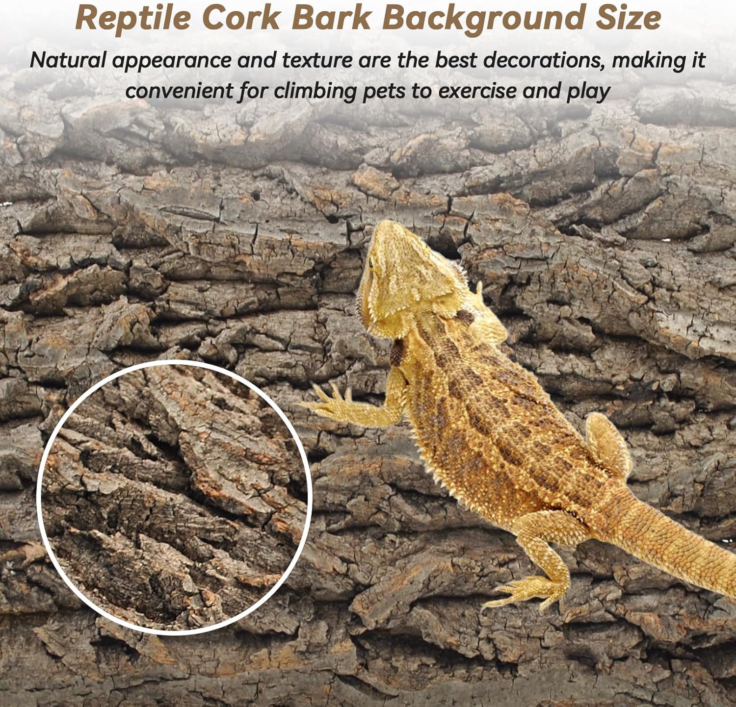 PINVNBY 2PCS Reptile Background for Terrarium,15.74 x 11.81in Natural Cork Bark Bearded Dragon Habitat Backdrop Climbing Wall Decor for Gecko Lizard Tortoise Frog Chameleon