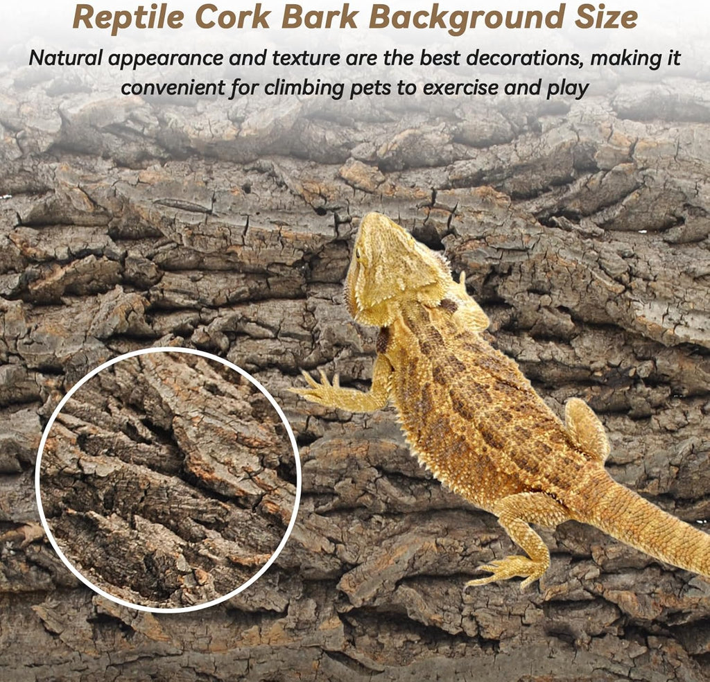 PINVNBY Natural Cork Bark Terrarium Background,15.74x11.81 Inches Reptile Tank Backdrop 3D Bearded Dragon Tank Climbing Wall Habitat Decor for Gecko Lizard Tortoise Frog Chameleon(1 PCS)