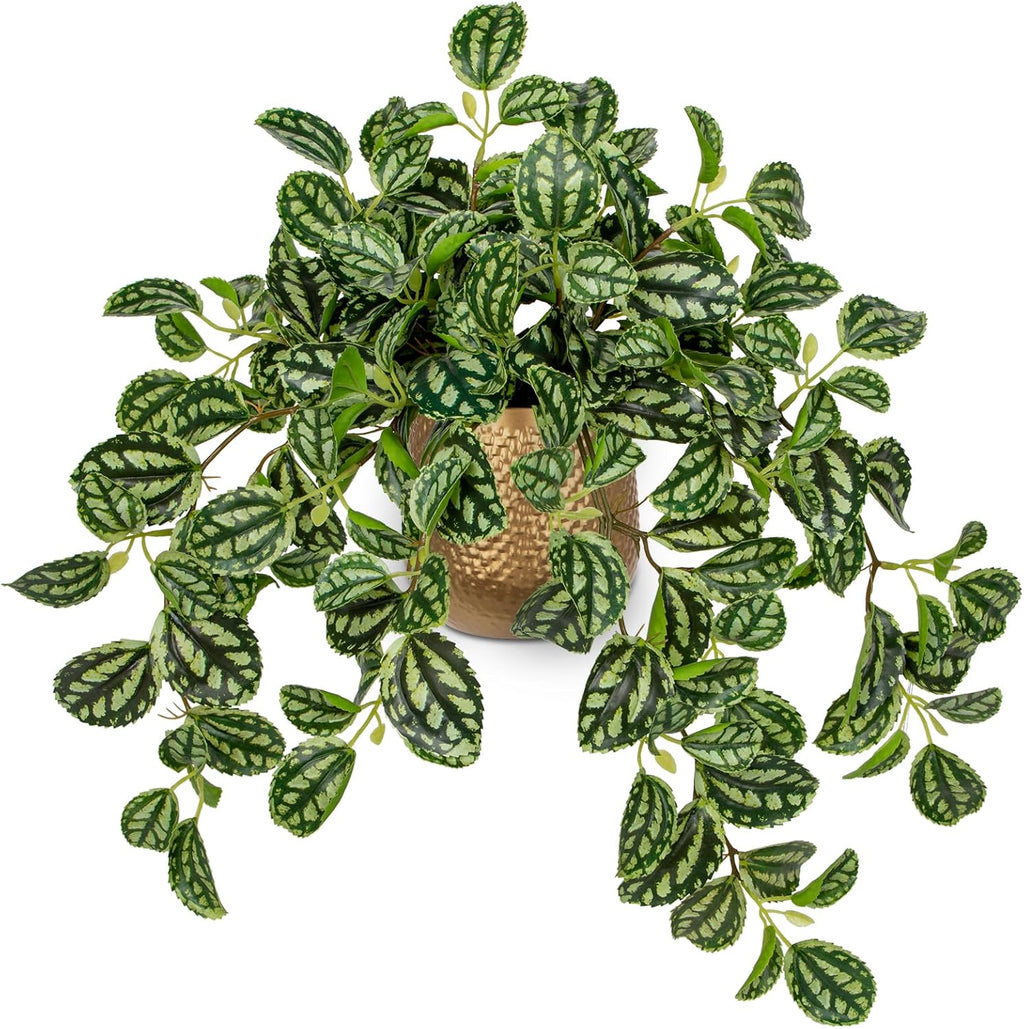 Briful Faux Plants Indoor 17.7in Fake Watermelon Peperomia Plant in Gold Pot with Realistic Silk Green Leaves Artificial Potted Plant for Home Office Table Shelf Desk Modern Room Decor