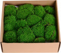 1.5 Sq. Ft. Preserved Moss Pole Decorative Moss for Crafts, Art, Wall Decor,Dark Green