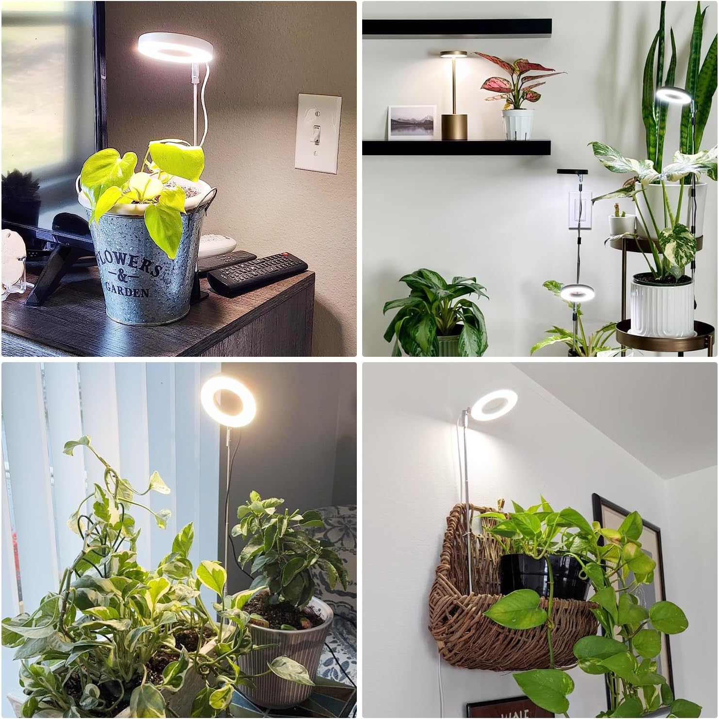 Grow Lights for Indoor Plants, Full Spectrum Small Halo Plant Grow Light with Base, 48 LED Growing Lamp 10 Levels Dimmable Auto On Off 3/9/12 Hrs Timer for Small Plants, White, 3.5in, 5 Pack