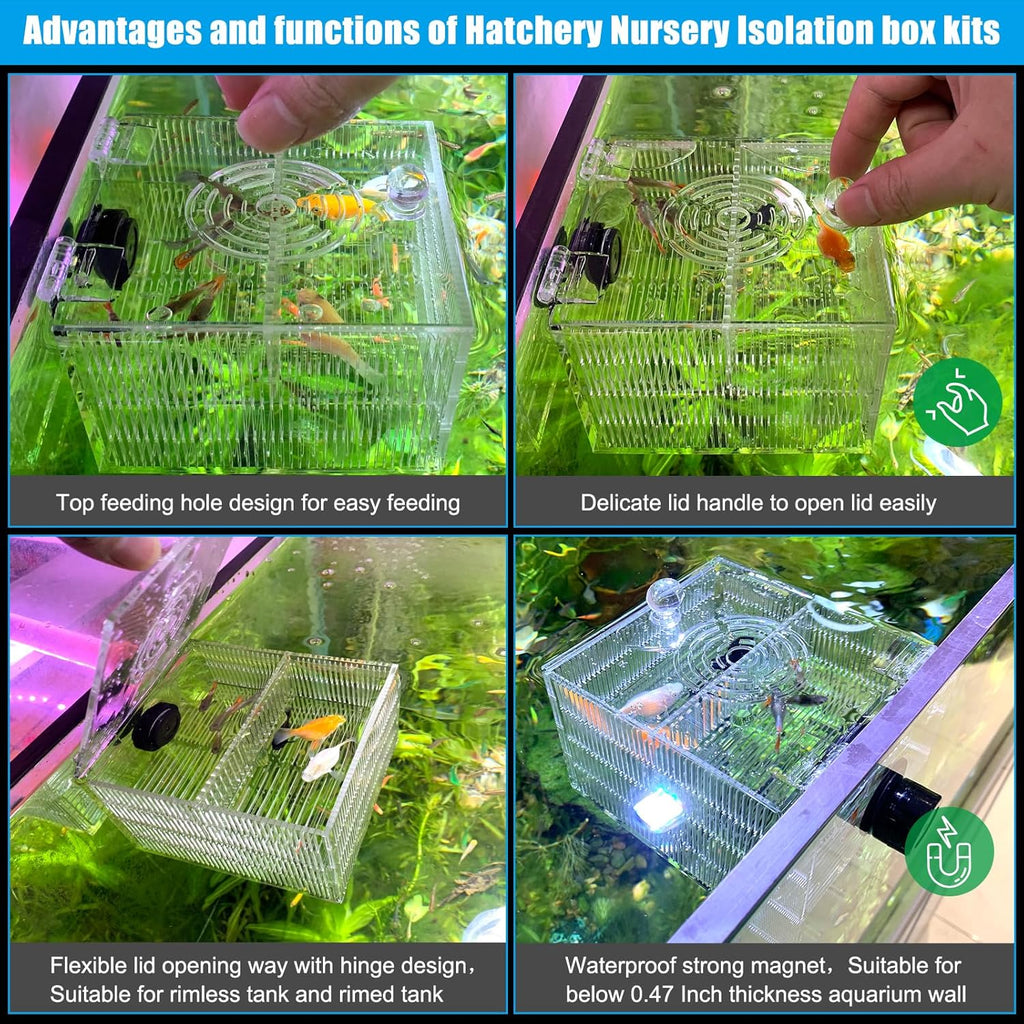 Magnetic Fish Breeder Box for Aquarium Tank Isolation Box Acclimation Hatchery breeding Incubator for Guppy Baby Betta Saltwater Clownfish Coral Anemones Aggressive or Injured Fish