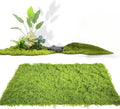 Artificial Moss Mat for Decoration Carpet Grass Wall, Natural Decorative for Plants Indoor with Base Fabric, 39.37 * 78.74 inch Artificial Moss Mat Suitable for DIY