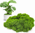 Fake Green Moss for Potted Plants Indoor, 10.6oz Artificial Moss for Crafts, Faux Moss Decor for Fairy Garden, DIY Decorative, Model Making, Walls, Glass Containers, Home
