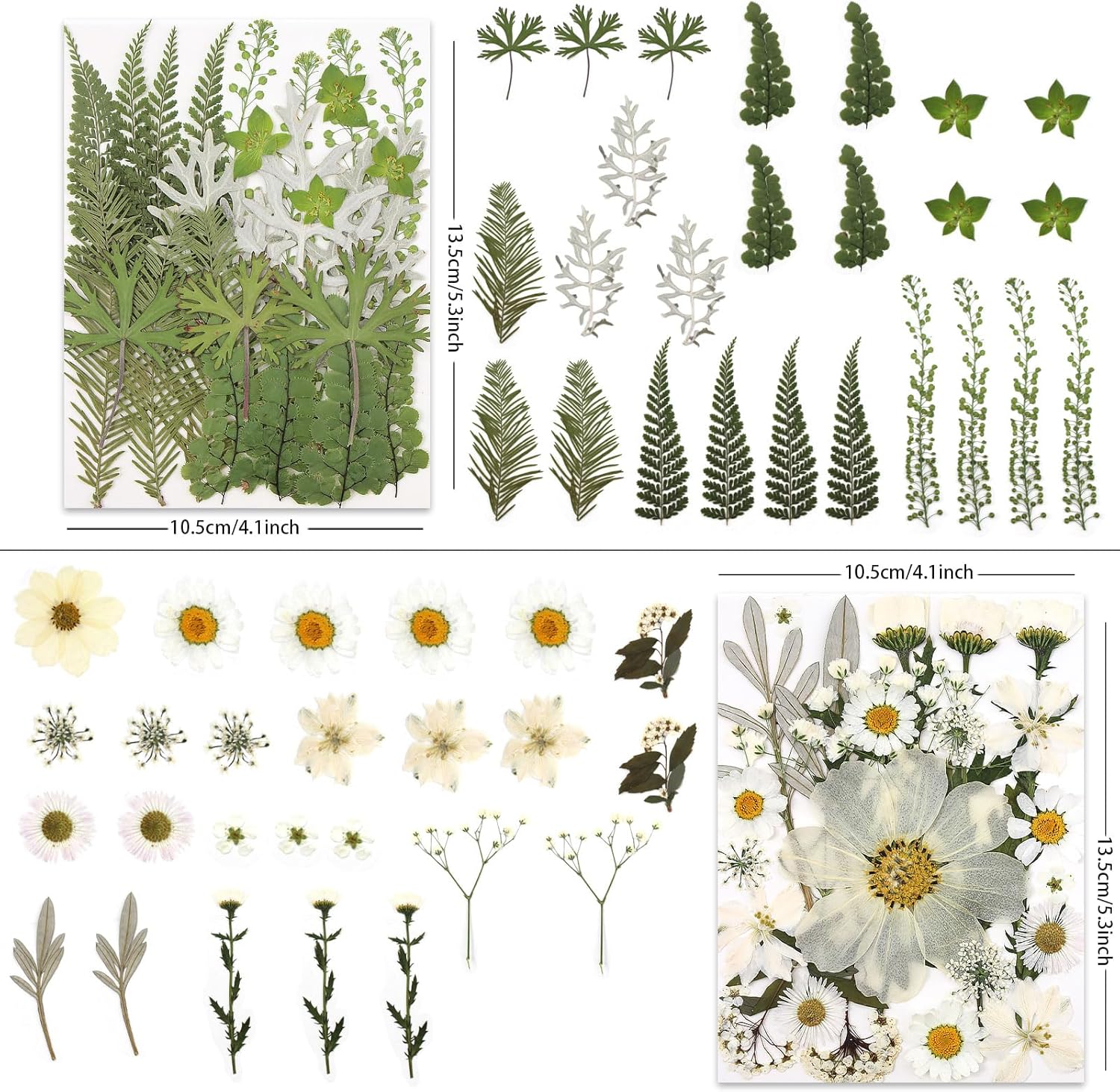100P White Foliage & Flower Mix Dried Flowers for Crafts, Real Natural Pressed Flowers for DIY Crafts, Resin Jewelry, Candle Art & Scrapbooking Crafts – Tweezers Included