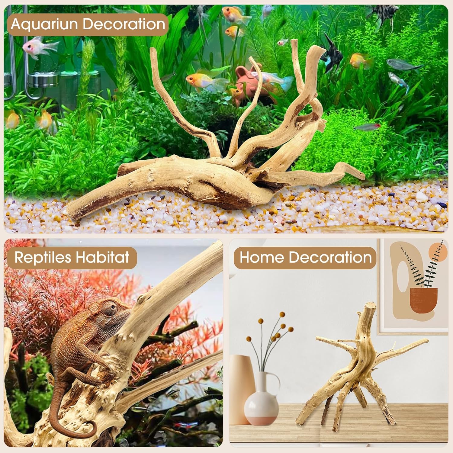Natural Large Spiderwood Driftwood for Aquarium Decor Rptile Fish Tank Decoration Assort Branch 13-16'' Pack of 1