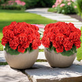 6 Bundles Artificial Flowers for Outdoors, Faux Geraniums Artificial Flowers Realistic, Faux Plants Outdoor UV Resistant for Garden Patio Porch Window Box Home Indoor Outdoor Decor (12, Red)