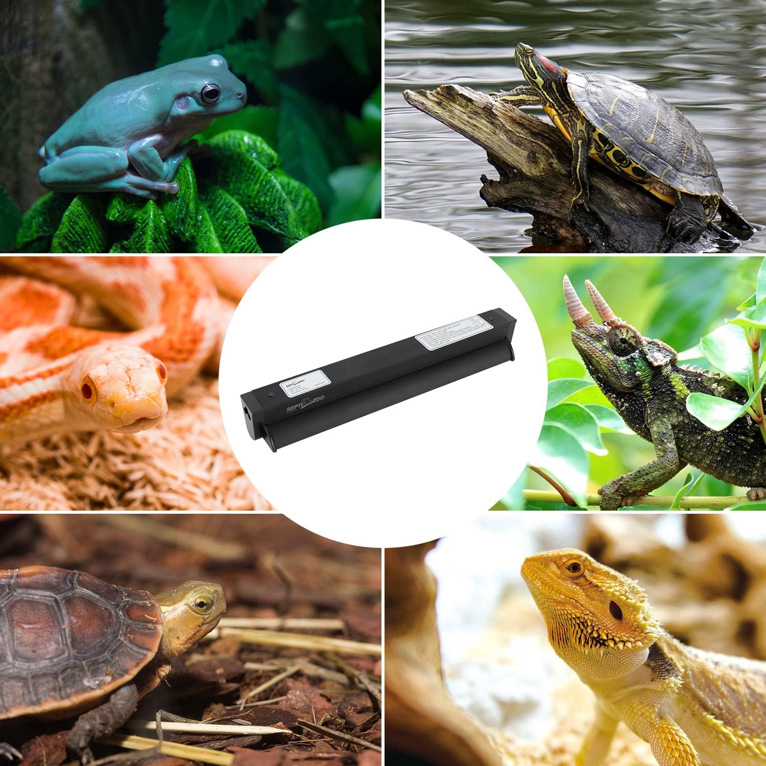 REPTI ZOO 8W Reptile T5 HO UVB Lighting Combo Kit, Light Fixture Reptile Terrarium Hood, with Detachable Curved Reflector and 1pc Desert 10.0 UVB T5 Lamp, ETL certificated