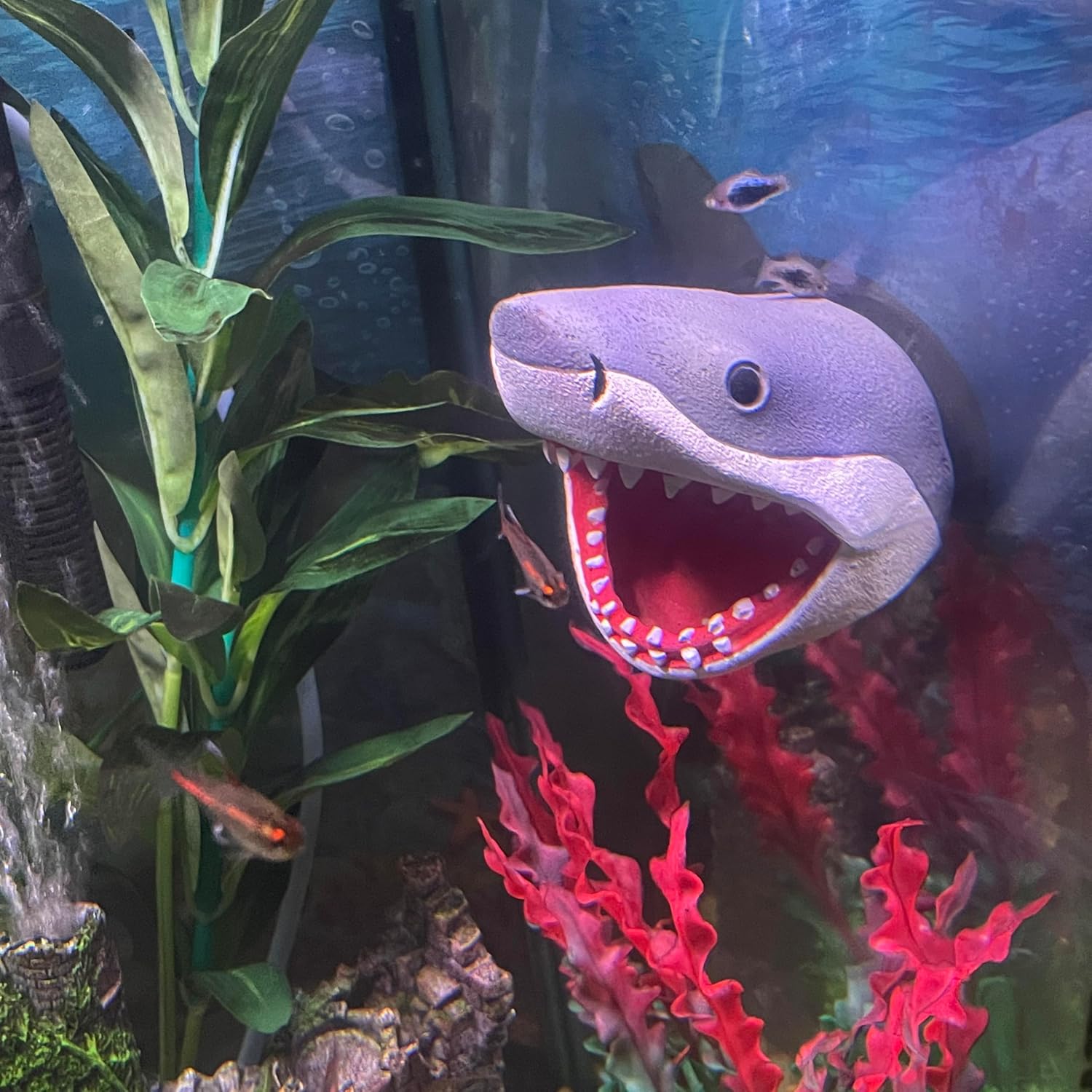 Aquarium Decor Magnetic Great White Shark Ornament – Wall-Mounted Fish Tank Accessory