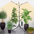 3-Head Grow Light with Stand and Timer, 27 Watt Power Home Plug LED Grow Lights for Indoor Plants for Tall Houseplants, Bonsai Tree, Seed Starting, 24"-64" Adjustable Height