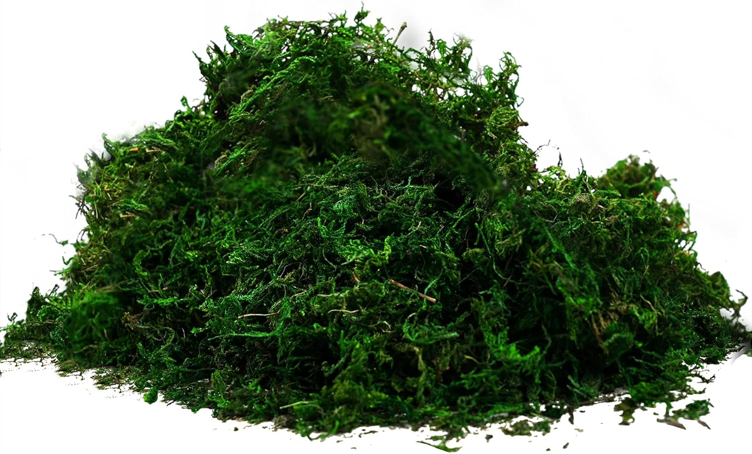 Byher 92926 Preserved Forest Moss, Fresh Green (2OZ)