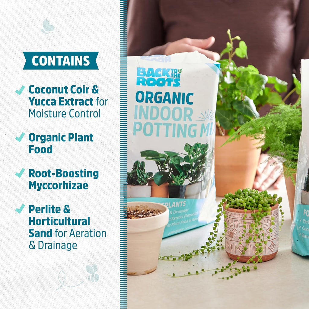 Back to The Roots 100% Organic Indoor Potting Mix (6 Quart), Promotes Healthy Houseplant Growth, Made in The USA