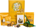 DIY Crystal Terrarium Kit– All-In-One Starter Kit with Preserved Moss, Pumice, Crystals, Coconut Coir, Gardening Tools & Decor | Healing Gift for relaxing | Plants & Crystal Lovers | Home & Desk Decor
