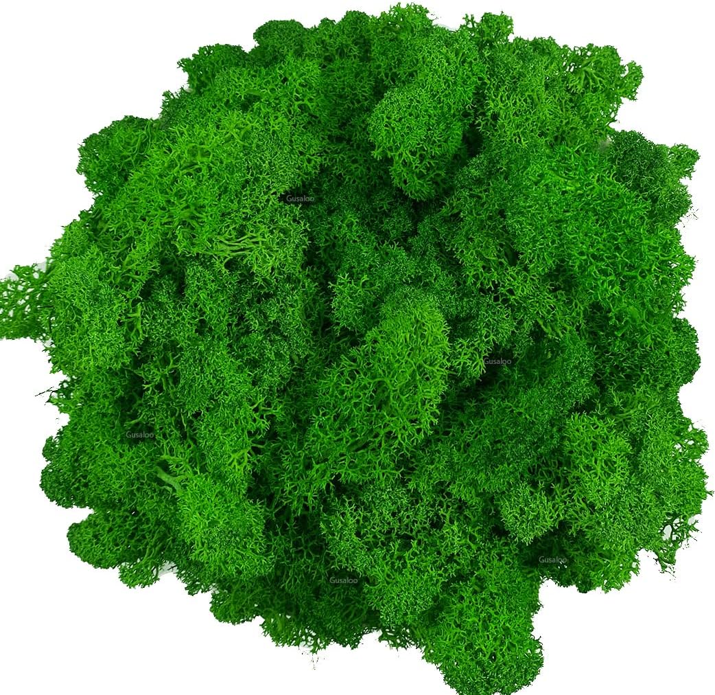 Moss Preserved Artificial Moss Natural Fresh Green Moss for Craft Arts Floral Project Wall Decor Table Decor Wedding Centerpieces Garden Terrariums Decoration -Mid Green 3.5OZ