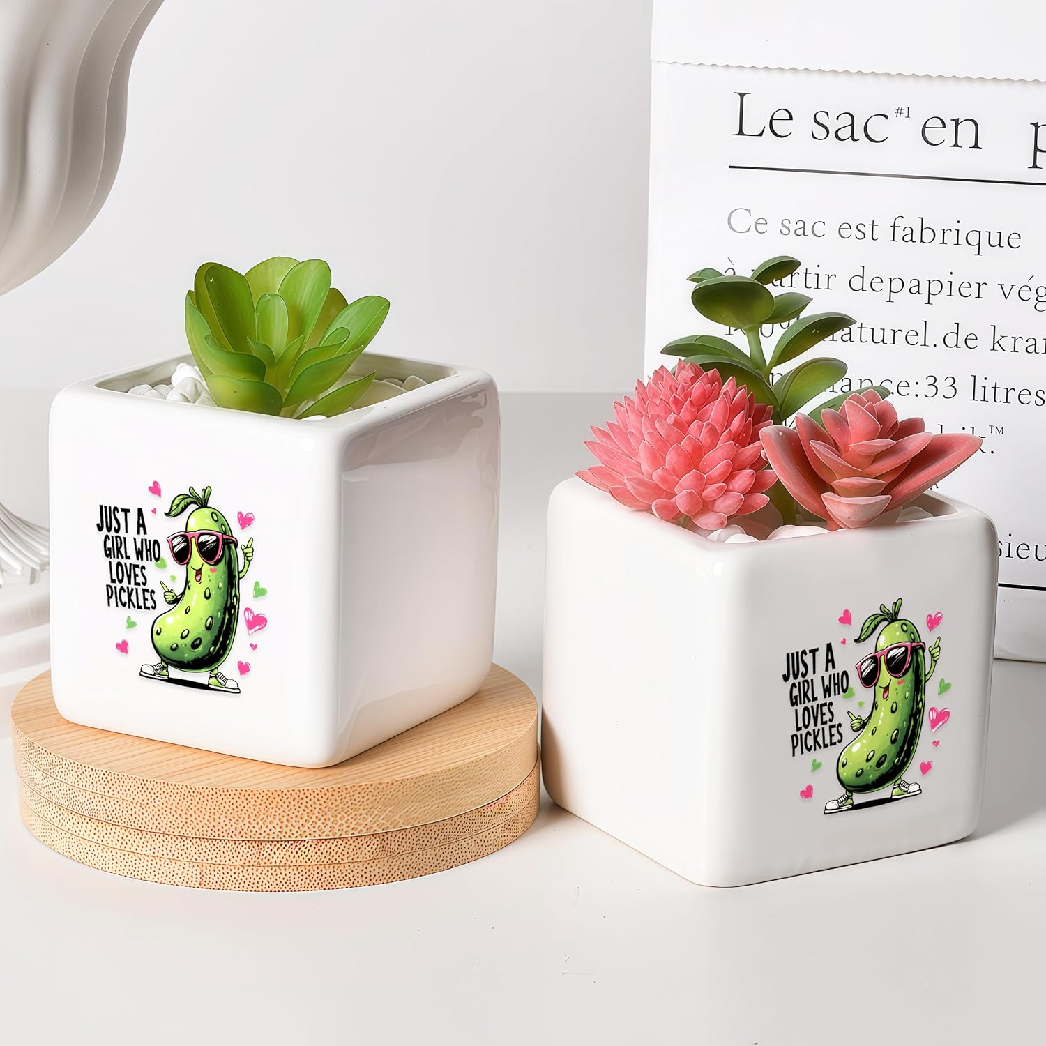 Pickle Succulent Planter Flower Plant Pot Small, Gifts for Women Teens Girls Kids, Pickle Lovers Themed Stuff Accessories Things Decor Merch, Home Office Table Desk Decoration!
