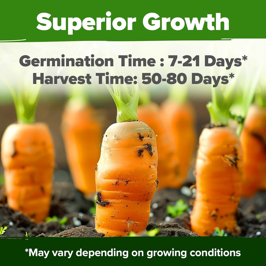 HOME GROWN Rainbow Carrot Seeds – 2500+ Heirloom Seeds (10 Varieties) – High Germination, Vegetable Seeds for Planting Indoors or Outdoor Home Garden