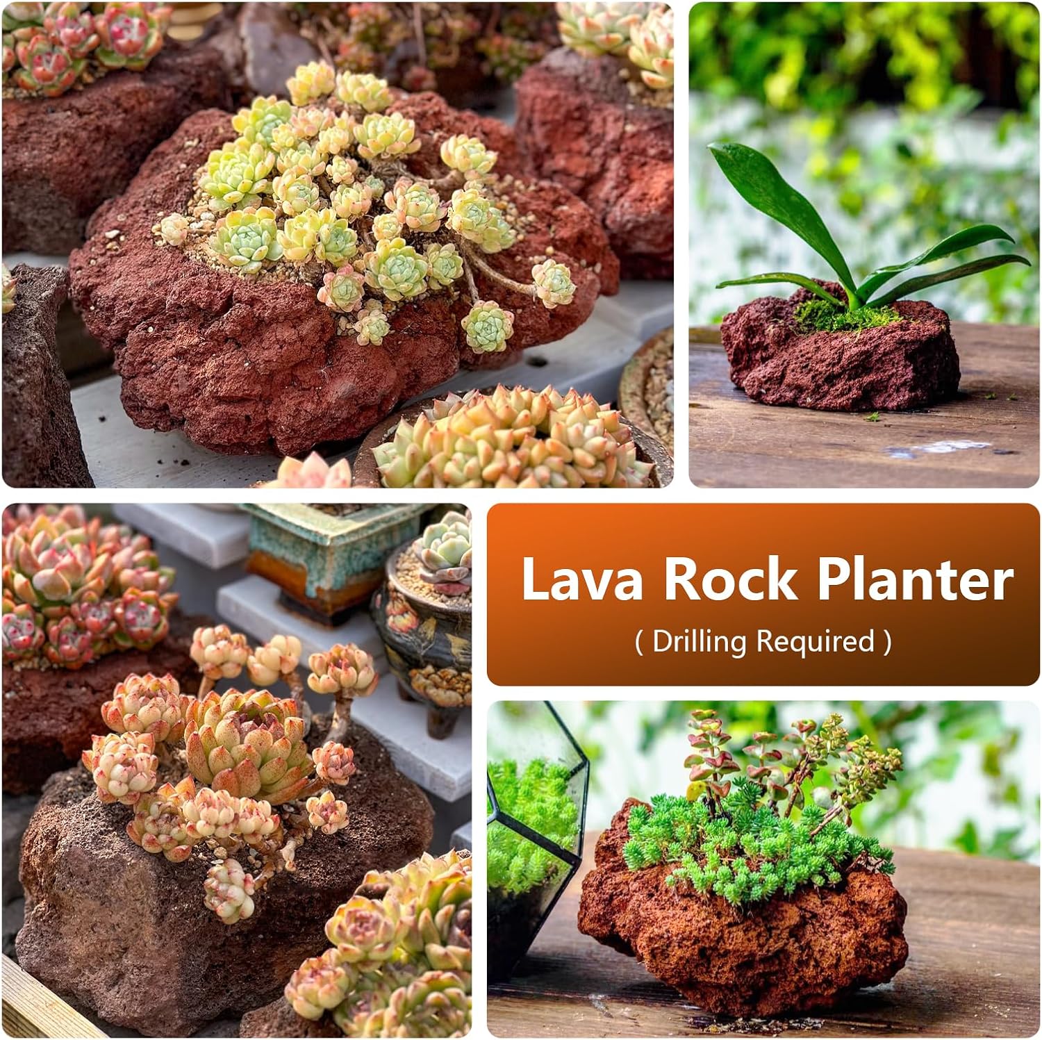 Red Lava Rock Natural Volcanic Stones 4"-7" Fish Tank Rocks for Aquariums,Shrimp,Betta,Aquascaping,Bonsai Substrate,Terrariums & Garden Landscape Rock-8lb 5pcs