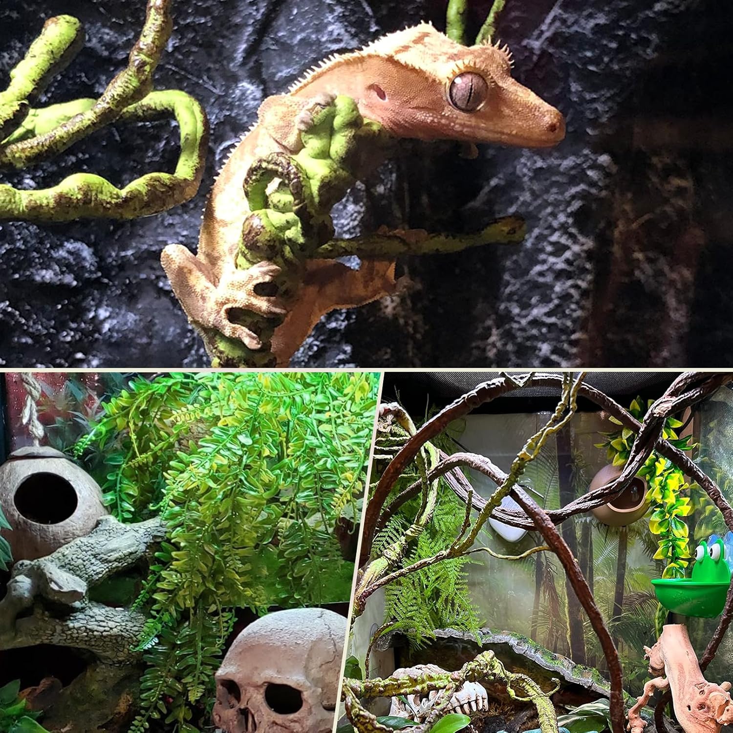PINVNBY 10 PCS Reptile Plants Vine, Terrarium Hanging Flexible Climbing Artificial Leaves Reptile Hide, Bearded Dragon Tank Accessories, Terrarium Decor for Leopard Gecko Lizard Snake Geckos