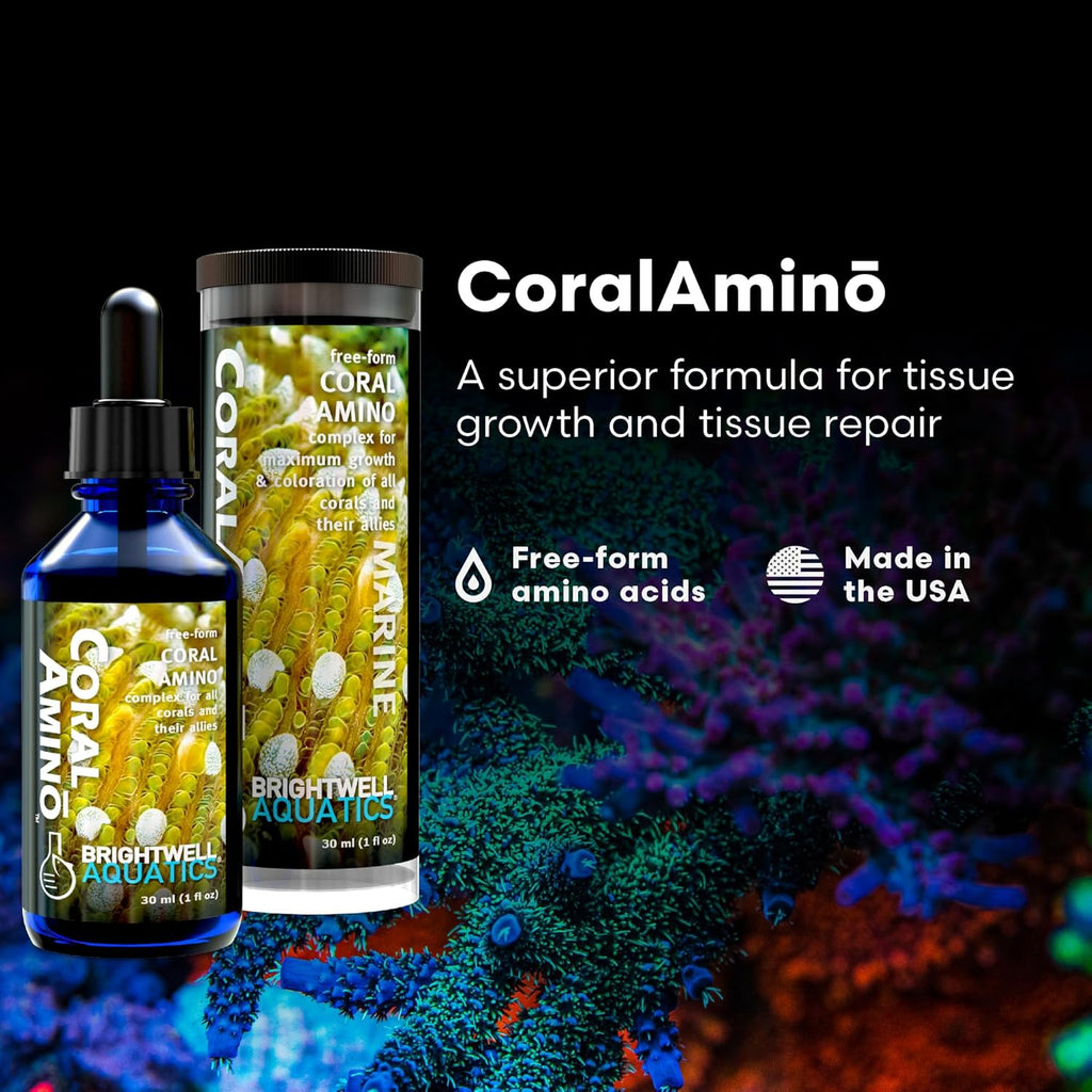 Brightwell Aquatics CoralAmino - Complex of Amino Acids for Corals - Coral food for Aquarium Coral Growth - Saltwater Aquarium Treatments, 1.01 fl oz